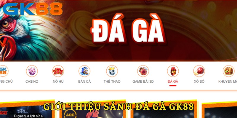 Giới thiệu về đá gà GK88