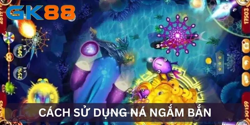 Cách sử dụng ná ngắm bắn